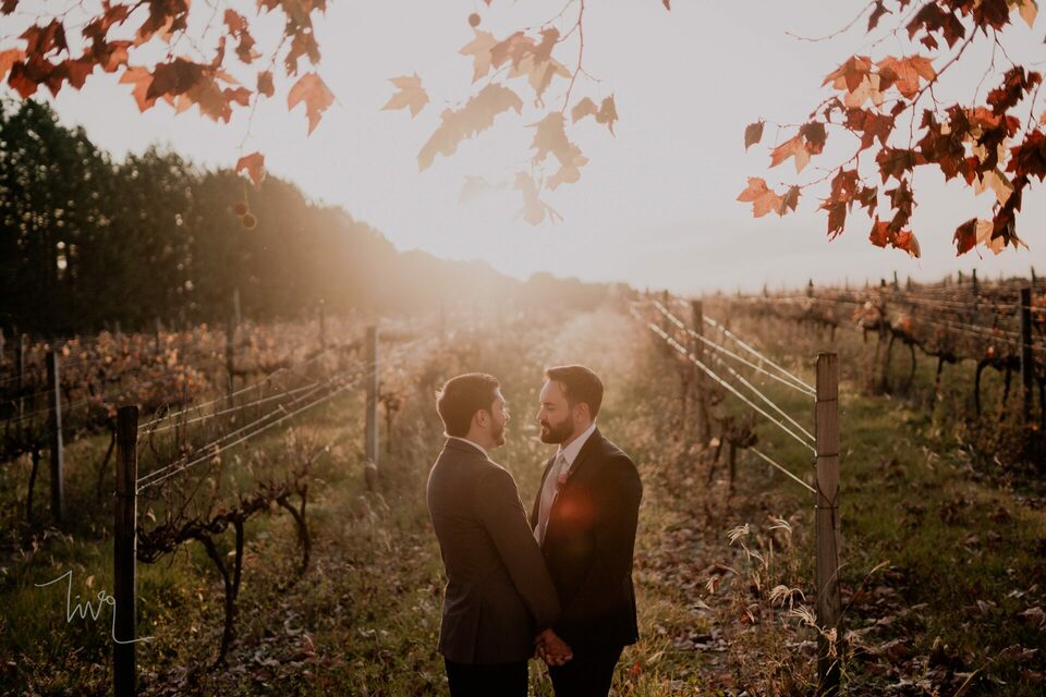 Um Ensaio de Casal na Vinícola